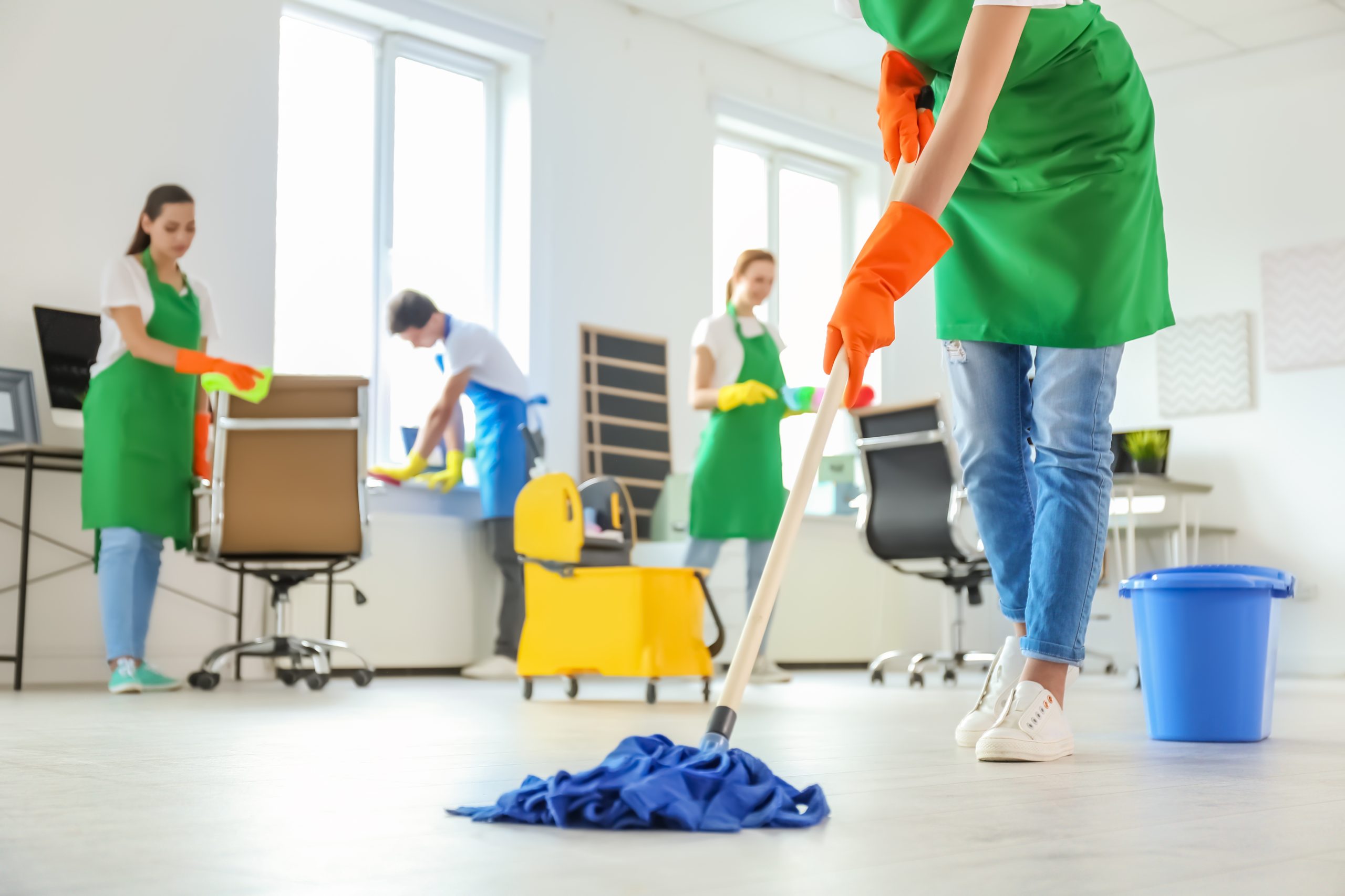 Servicios Servicios1