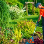 Inicio Servicio jardineria